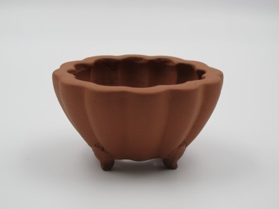 Category 